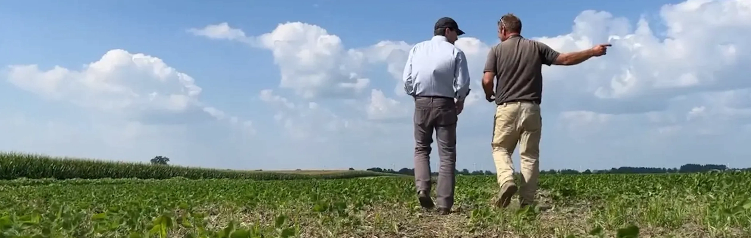 View from behind of two men talking in field.